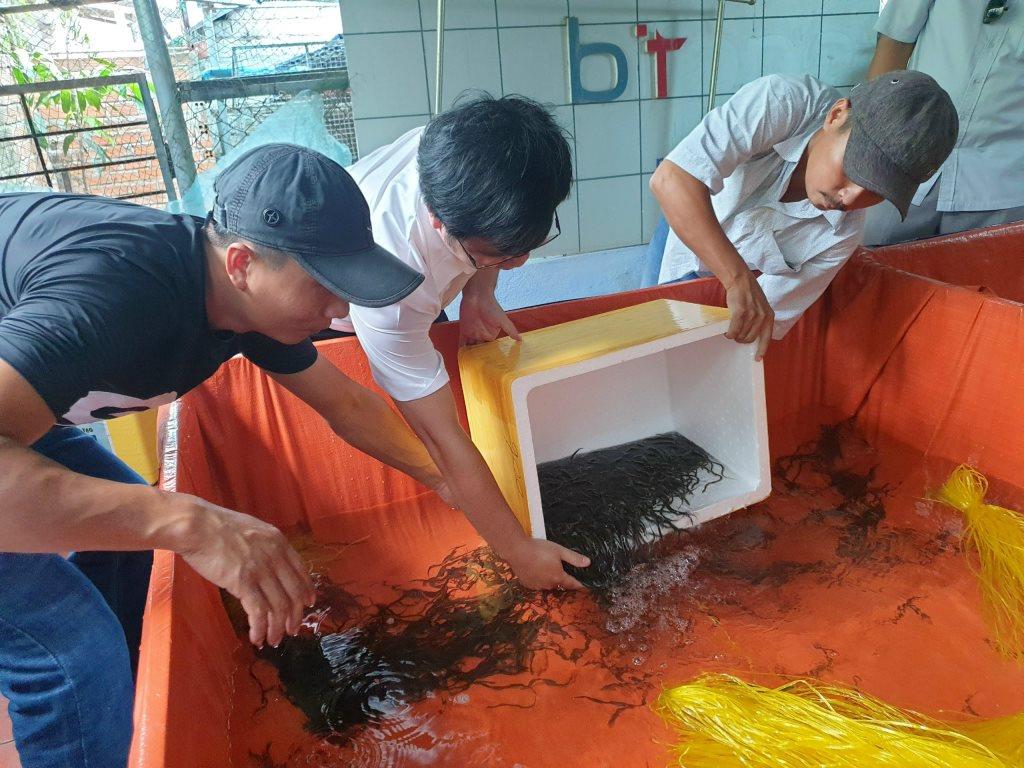 Giao nhận lươn giống tại hộ dân Nguyễn Thị Hòa, xã Hòa Bình 1, huyện Tây Hòa